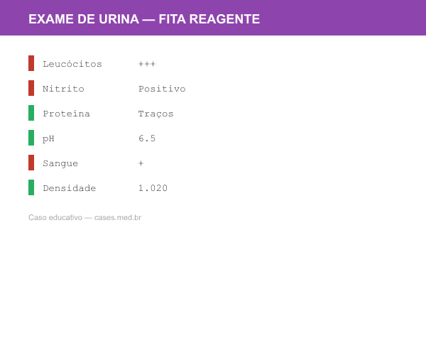 Infecção do Trato Urinário — Synthetic Urinalysis